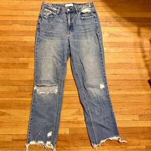 Distressed Vervet Jeans